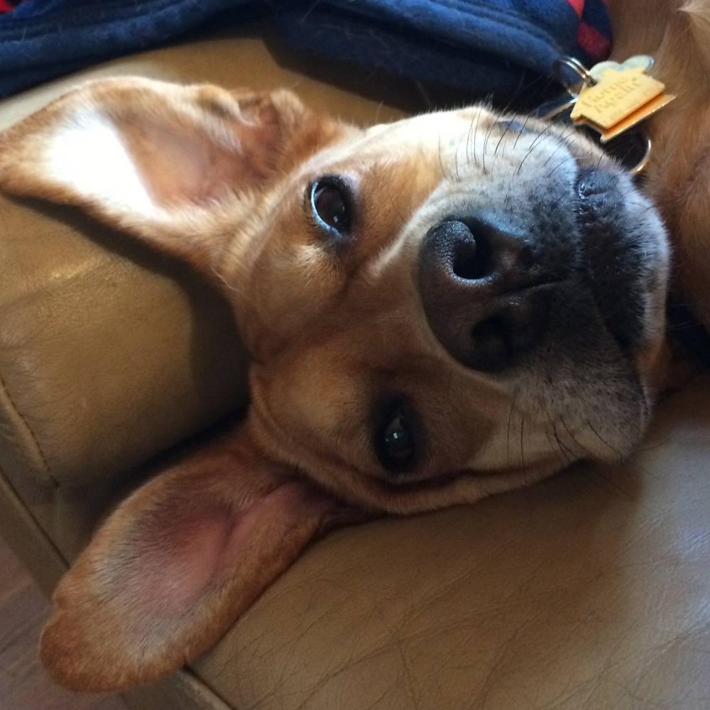 Meet your Posher, Claire